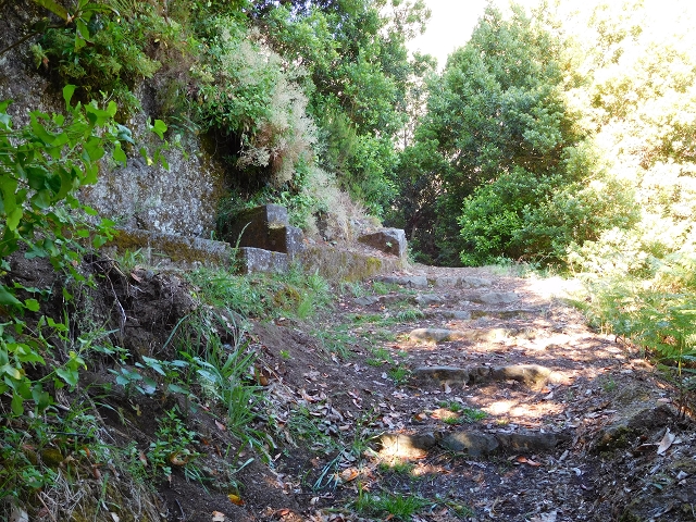 02.08.2015 Levada dos Tornos und das Fajas — Aufstieg auf dem PR-2 — Foto 5