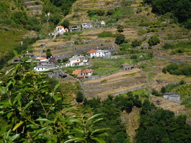 02.08.2015 Levada dos Tornos und das Fajas — Vom PR-2 zur Ribeira do Joao Fernandes — Foto 7