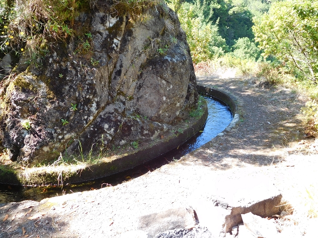 02.08.2015 Levada dos Tornos und das Fajas — Vom PR-2 zur Ribeira do Joao Fernandes — Foto 8