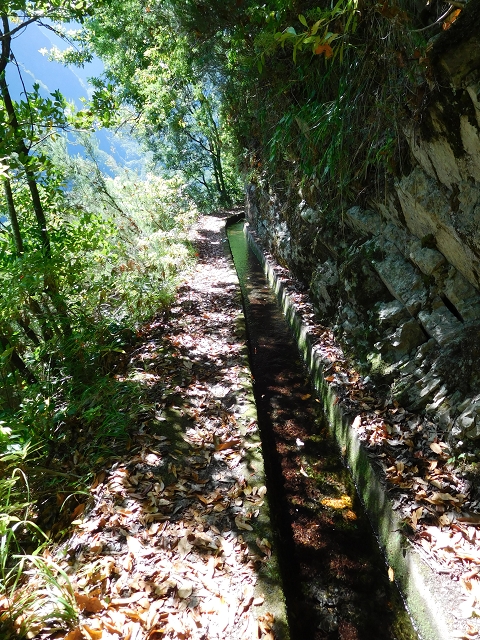 02.08.2015 Levada dos Tornos und das Fajas — Vom PR-2 zur Ribeira do Joao Fernandes — Foto 9