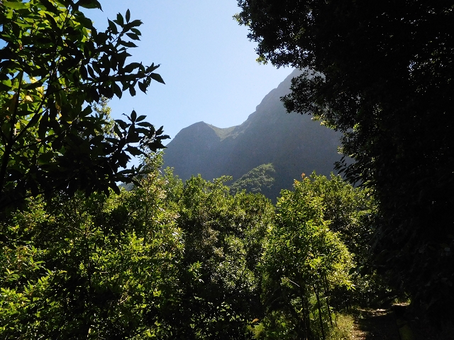 02.08.2015 Levada dos Tornos und das Fajas — Vom PR-2 zur Ribeira do Joao Fernandes — Foto 10