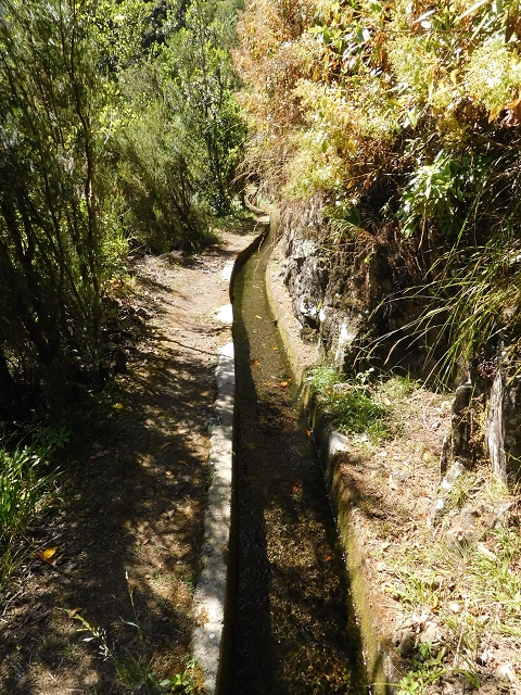 02.08.2015 Levada dos Tornos und das Fajas — Vom PR-2 zur Ribeira do Joao Fernandes — Foto 11
