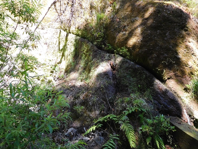 02.08.2015 Levada dos Tornos und das Fajas — Vom PR-2 zur Ribeira do Joao Fernandes — Foto 14