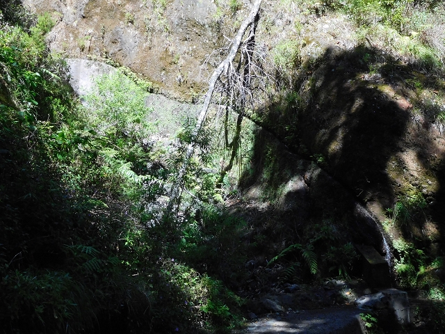 02.08.2015 Levada dos Tornos und das Fajas — Vom PR-2 zur Ribeira do Joao Fernandes — Foto 17