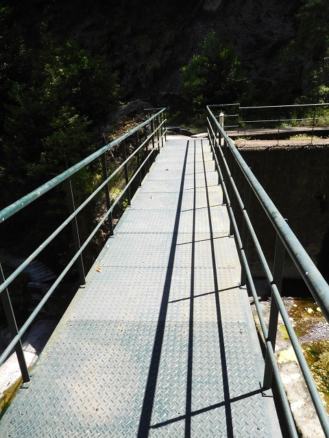 02.08.2015 Levada dos Tornos und das Fajas — Vom PR-2 zur Ribeira do Joao Fernandes — Foto 20