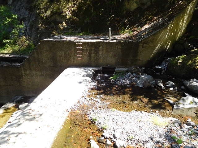 02.08.2015 Levada dos Tornos und das Fajas — Vom PR-2 zur Ribeira do Joao Fernandes — Foto 21
