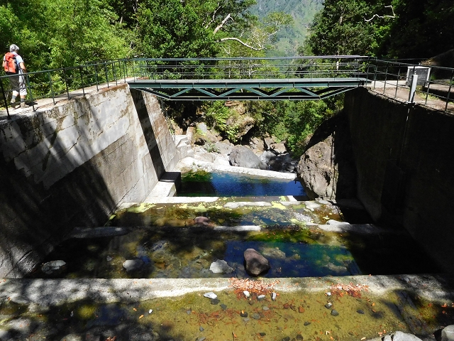 02.08.2015 Levada dos Tornos und das Fajas — Vom PR-2 zur Ribeira do Joao Fernandes — Foto 22