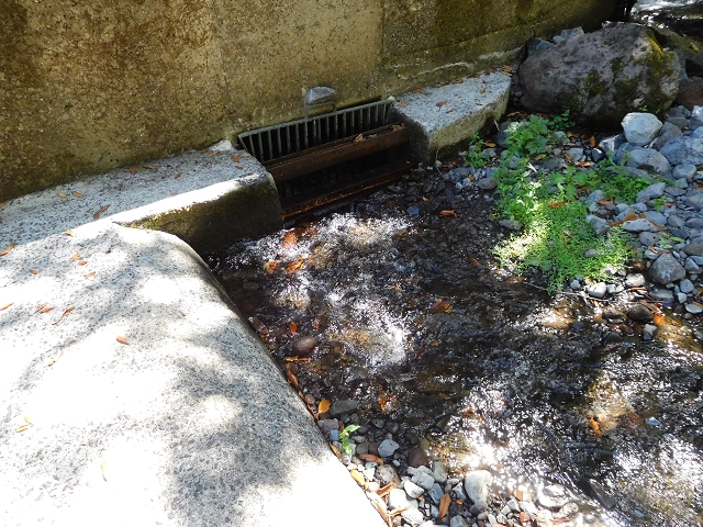 02.08.2015 Levada dos Tornos und das Fajas — Vom PR-2 zur Ribeira do Joao Fernandes — Foto 23