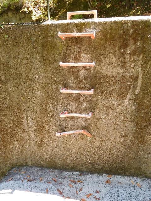 02.08.2015 Levada dos Tornos und das Fajas — Vom PR-2 zur Ribeira do Joao Fernandes — Foto 24