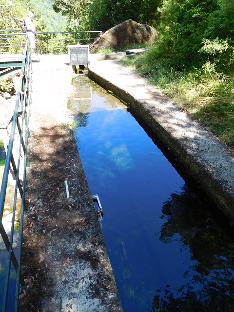 02.08.2015 Levada dos Tornos und das Fajas — Vom PR-2 zur Ribeira do Joao Fernandes — Foto 25