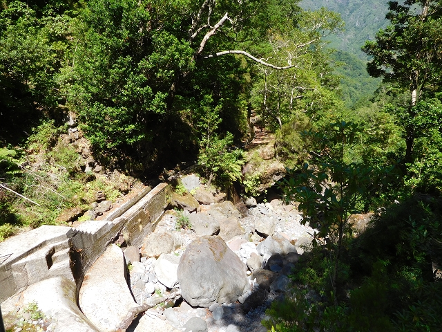 02.08.2015 Levada dos Tornos und das Fajas — Vom PR-2 zur Ribeira do Joao Fernandes — Foto 27