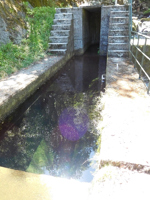 02.08.2015 Levada dos Tornos und das Fajas — Vom PR-2 zur Ribeira do Joao Fernandes — Foto 28