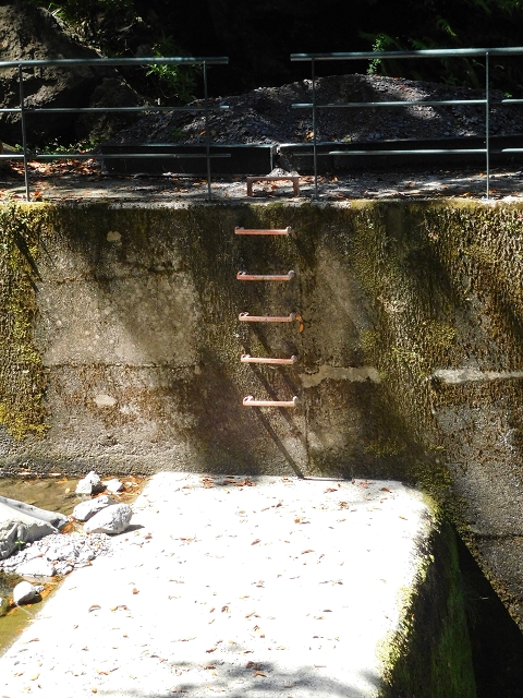02.08.2015 Levada dos Tornos und das Fajas — Vom PR-2 zur Ribeira do Joao Fernandes — Foto 30