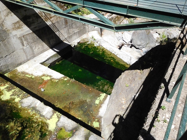 02.08.2015 Levada dos Tornos und das Fajas — Vom PR-2 zur Ribeira do Joao Fernandes — Foto 31