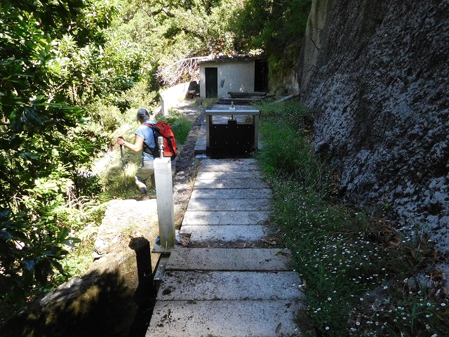 02.08.2015 Levada dos Tornos und das Fajas — Vom PR-2 zur Ribeira do Joao Fernandes — Foto 32