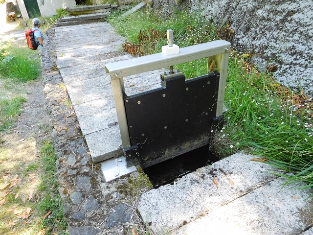 02.08.2015 Levada dos Tornos und das Fajas — Vom PR-2 zur Ribeira do Joao Fernandes — Foto 33