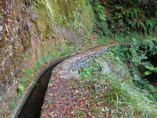 02.08.2015 Levada dos Tornos und das Fajas — Zur Madre der Levada dos Tornos und zurück zum PR-2 — Foto 2