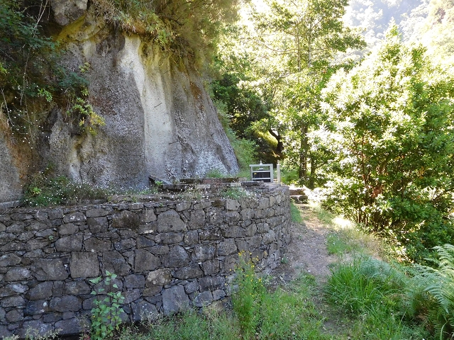 02.08.2015 Levada dos Tornos und das Fajas — Vom PR-2 zur Ribeira do Joao Fernandes — Foto 35