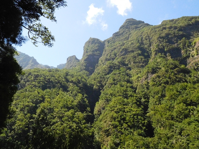 02.08.2015 Levada dos Tornos und das Fajas — Weiter zum Levadahaus — Foto 1