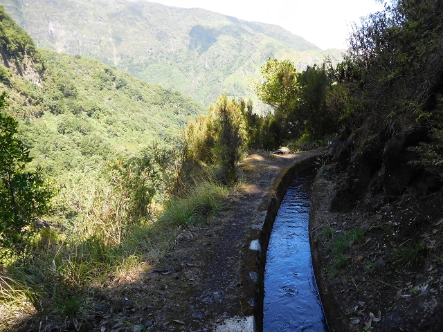 02.08.2015 Levada dos Tornos und das Fajas — Weiter zum Levadahaus — Foto 2