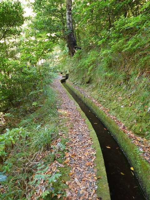 02.08.2015 Levada dos Tornos und das Fajas — Weiter zum Levadahaus — Foto 3