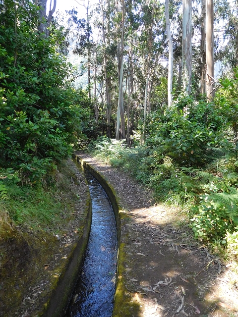 02.08.2015 Levada dos Tornos und das Fajas — Weiter zum Levadahaus — Foto 4