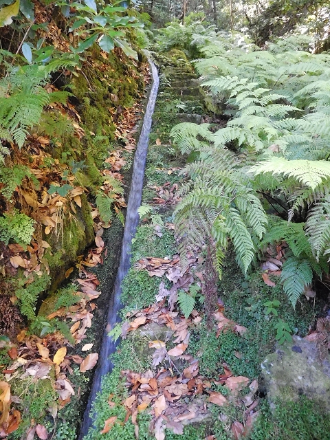 02.08.2015 Levada dos Tornos und das Fajas — Weiter zum Levadahaus — Foto 5