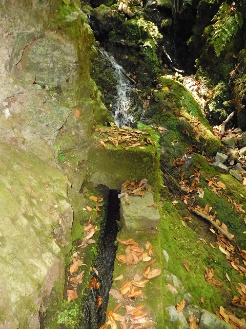 02.08.2015 Levada dos Tornos und das Fajas — Weiter zum Levadahaus — Foto 7
