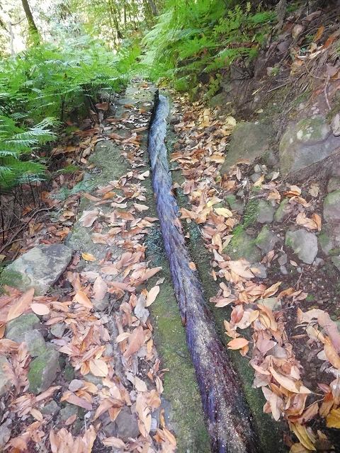 02.08.2015 Levada dos Tornos und das Fajas — Weiter zum Levadahaus — Foto 8
