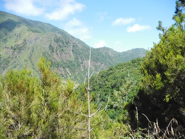 02.08.2015 Levada dos Tornos und das Fajas — Weiter zum Levadahaus — Foto 10