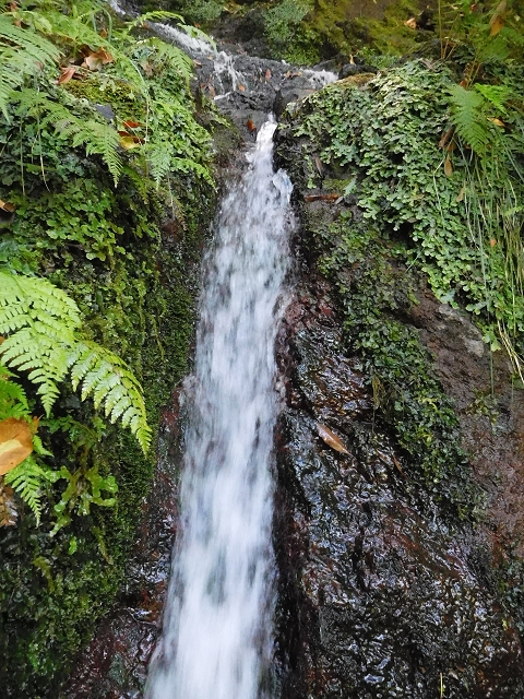 02.08.2015 Levada dos Tornos und das Fajas — Weiter zum Levadahaus — Foto 12
