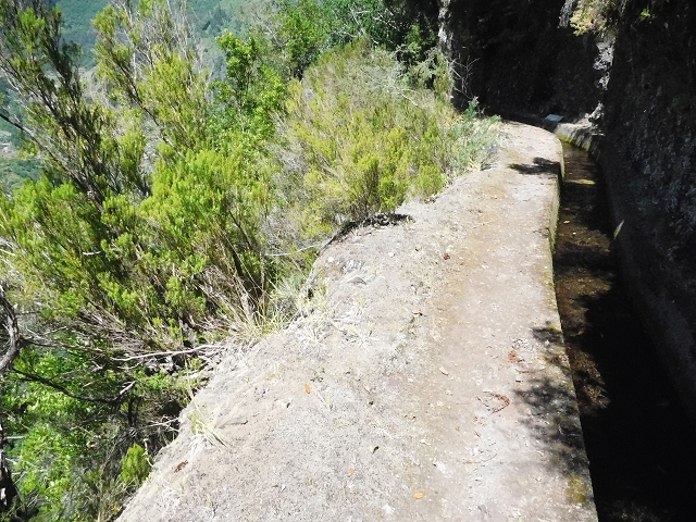 02.08.2015 Levada dos Tornos und das Fajas — Weiter zum Levadahaus — Foto 13