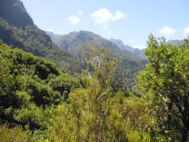 02.08.2015 Levada dos Tornos und das Fajas — Weiter zum Levadahaus — Foto 14