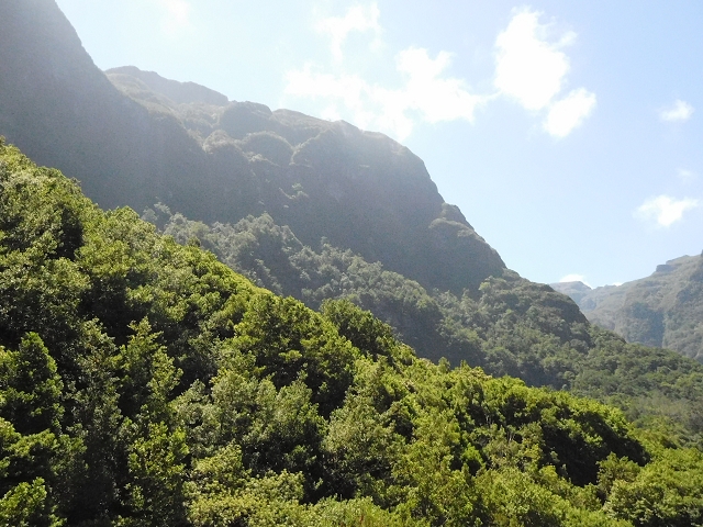 02.08.2015 Levada dos Tornos und das Fajas — Weiter zum Levadahaus — Foto 15