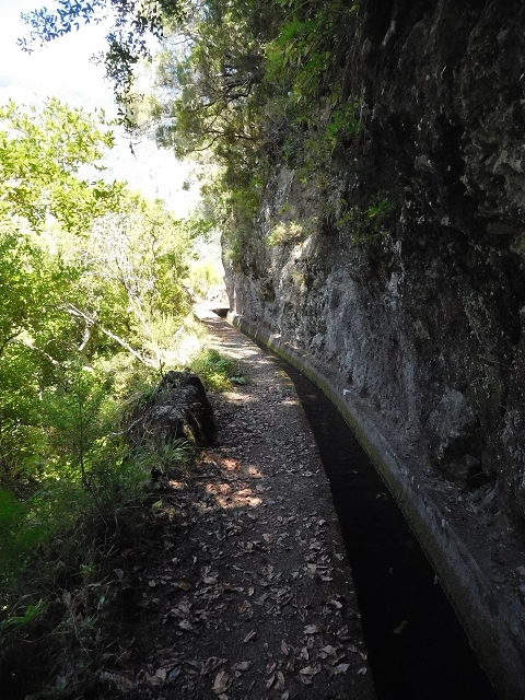 02.08.2015 Levada dos Tornos und das Fajas — Weiter zum Levadahaus — Foto 16
