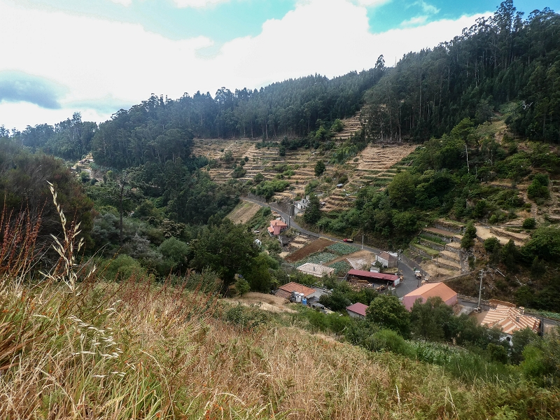 02.08.2021 Über 5 Levadas rund um Camacha — Weiter auf der Levada da Fonte Perigosa — Foto 14