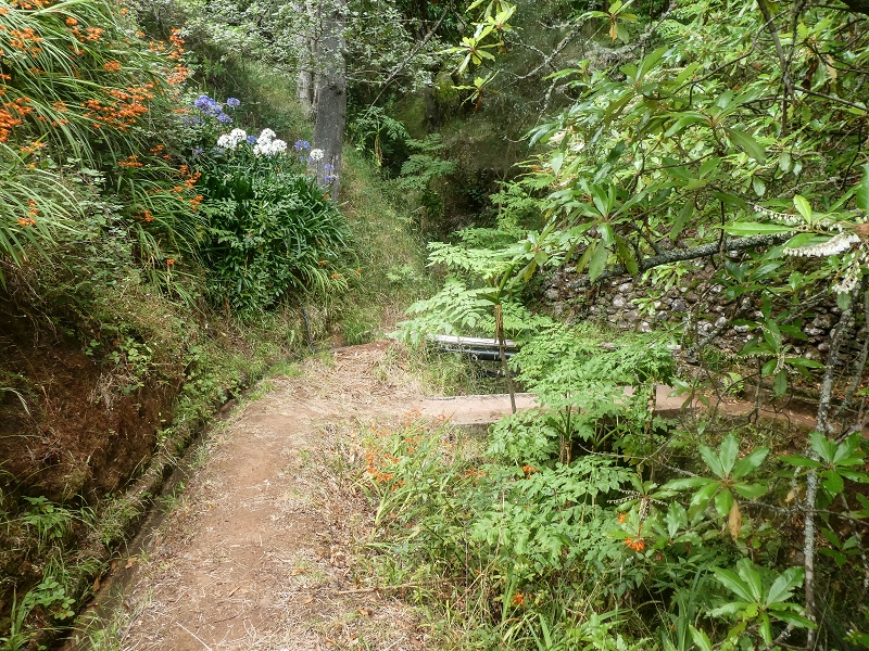 02.08.2021 Über 5 Levadas rund um Camacha — Weiter auf der Levada da Fonte Perigosa — Foto 16