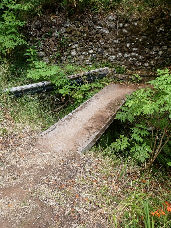 02.08.2021 Über 5 Levadas rund um Camacha — Weiter auf der Levada da Fonte Perigosa — Foto 17