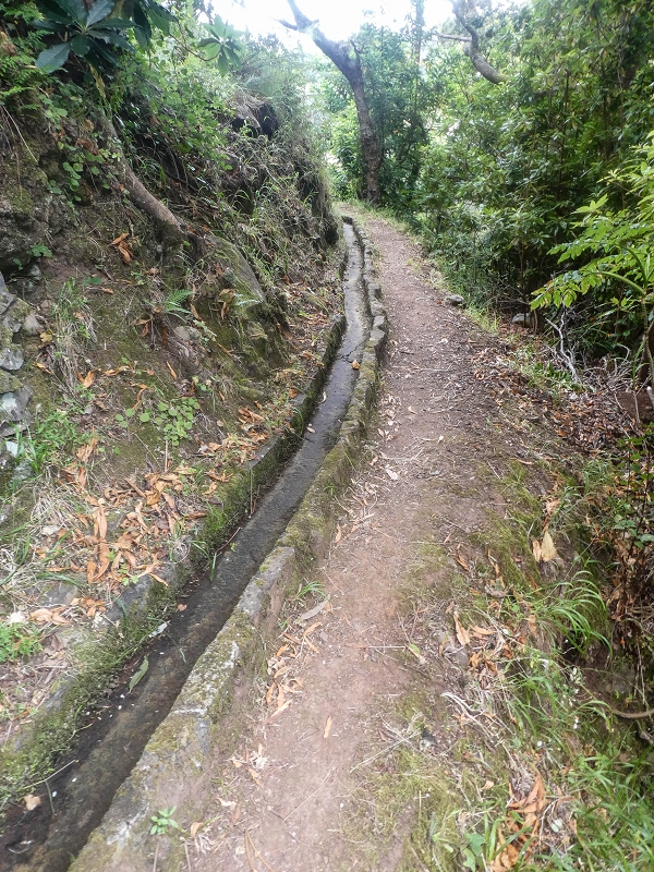 02.08.2021 Über 5 Levadas rund um Camacha — Weiter auf der Levada da Fonte Perigosa — Foto 18