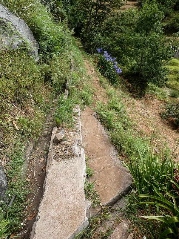 02.08.2021 Über 5 Levadas rund um Camacha — Weiter auf der Levada da Fonte Perigosa — Foto 22