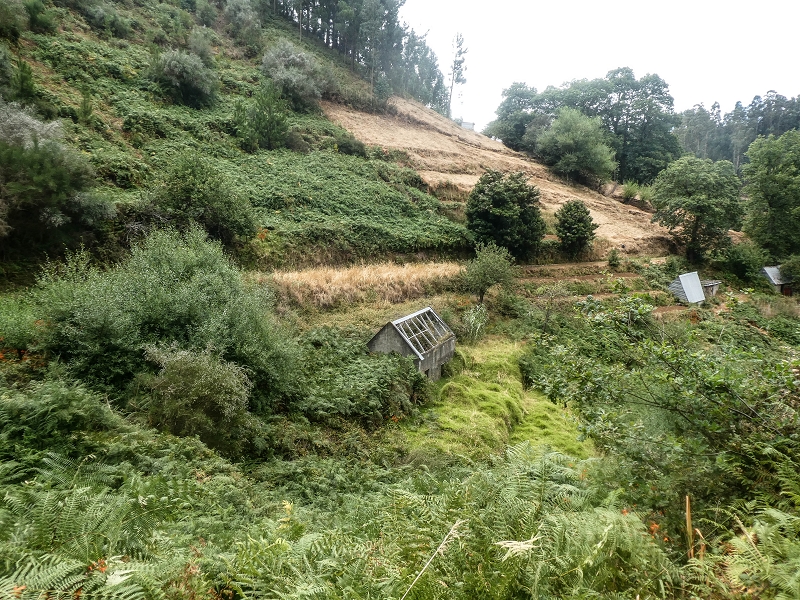 02.08.2021 Über 5 Levadas rund um Camacha — Weiter auf der Levada da Fonte Perigosa — Foto 24