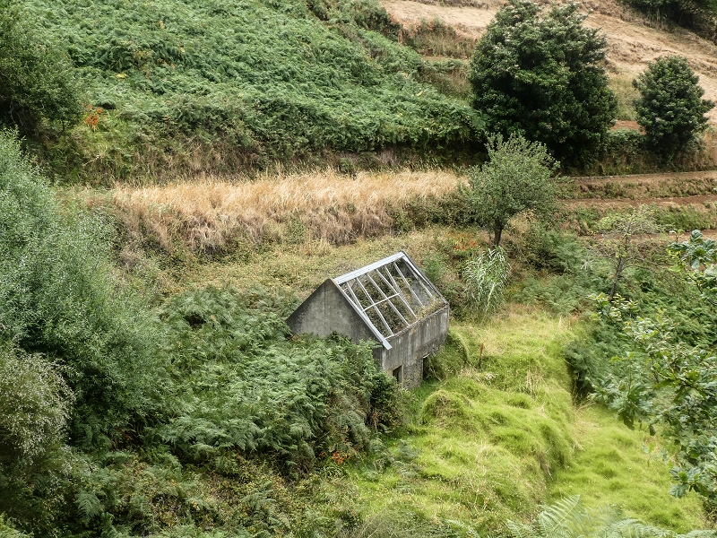 02.08.2021 Über 5 Levadas rund um Camacha — Weiter auf der Levada da Fonte Perigosa — Foto 25