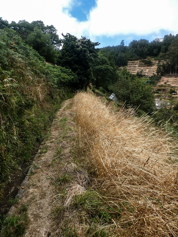 02.08.2021 Über 5 Levadas rund um Camacha — Weiter auf der Levada da Fonte Perigosa — Foto 26