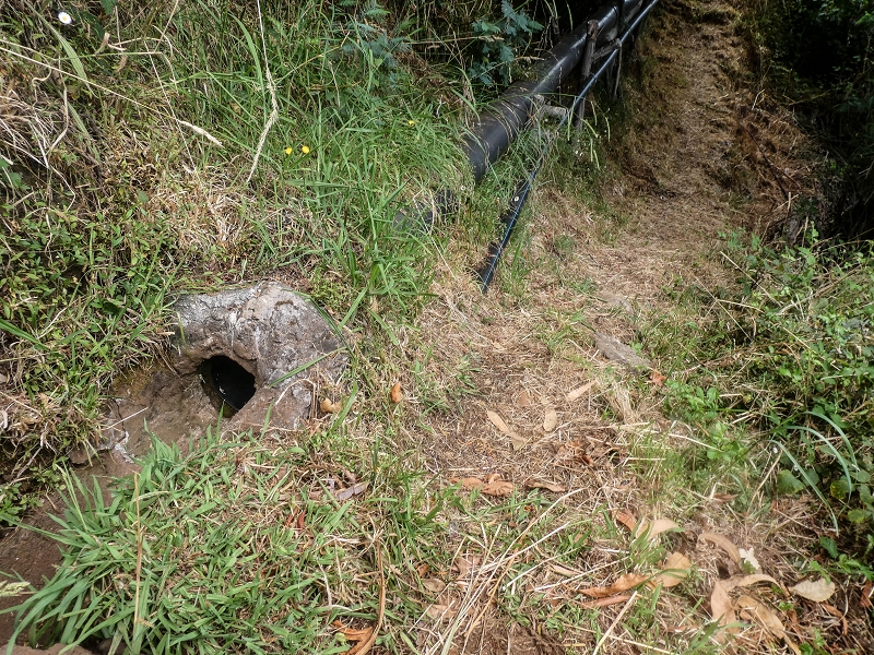 02.08.2021 Über 5 Levadas rund um Camacha — Weiter auf der Levada da Fonte Perigosa — Foto 28