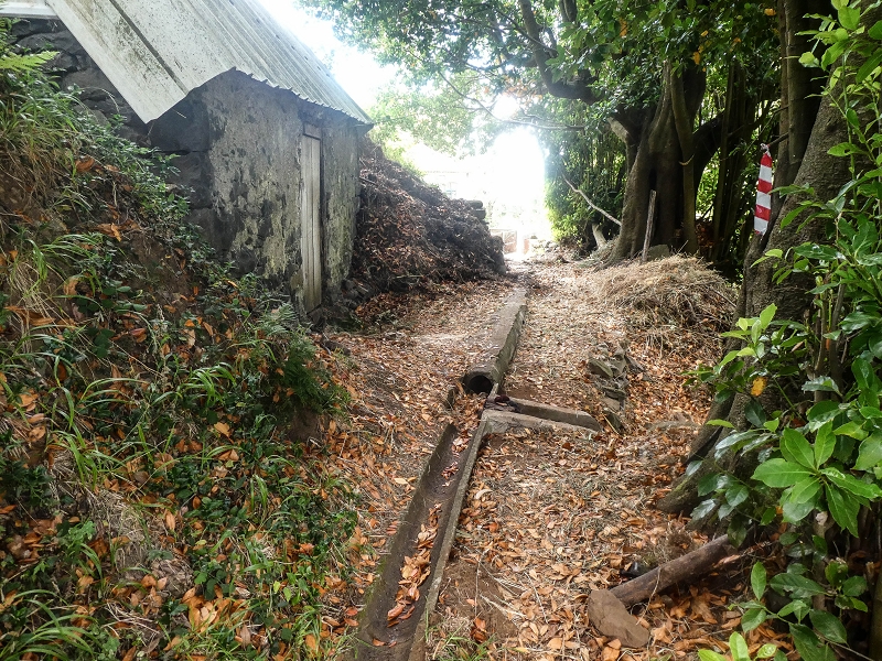 02.08.2021 Über 5 Levadas rund um Camacha — Weiter auf der Levada da Fonte Perigosa — Foto 30