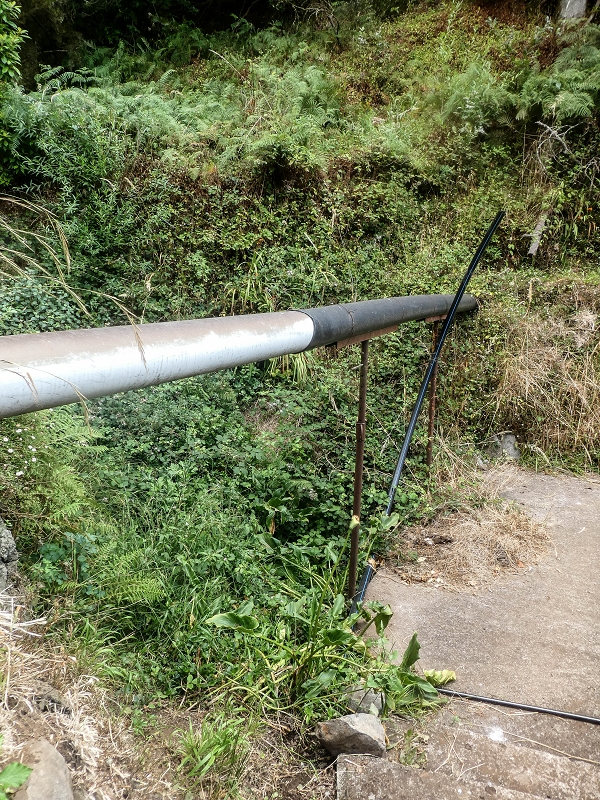02.08.2021 Über 5 Levadas rund um Camacha — Weiter auf der Levada da Fonte Perigosa — Foto 32