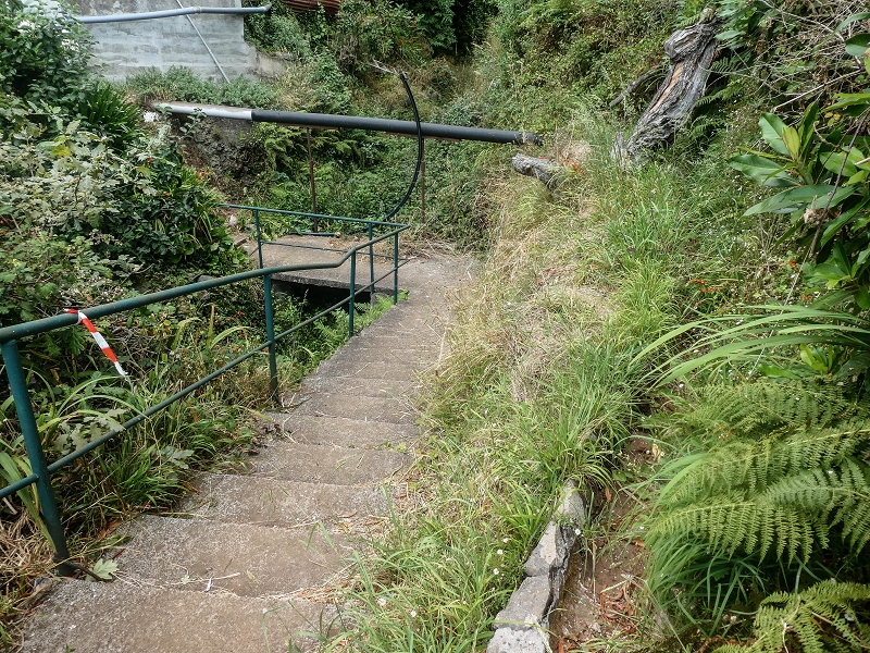 02.08.2021 Über 5 Levadas rund um Camacha — Weiter auf der Levada da Fonte Perigosa — Foto 33