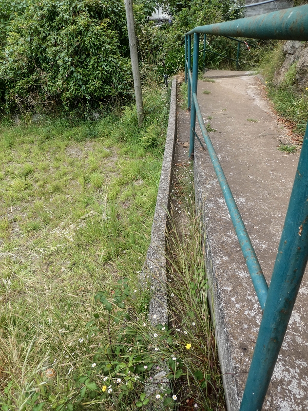 02.08.2021 Über 5 Levadas rund um Camacha — Weiter auf der Levada da Fonte Perigosa — Foto 35