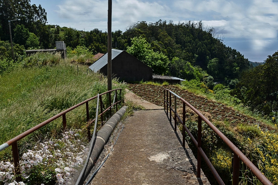 02.08.2021 Über 5 Levadas rund um Camacha — Weiter auf der Levada da Fonte Perigosa — Foto 36