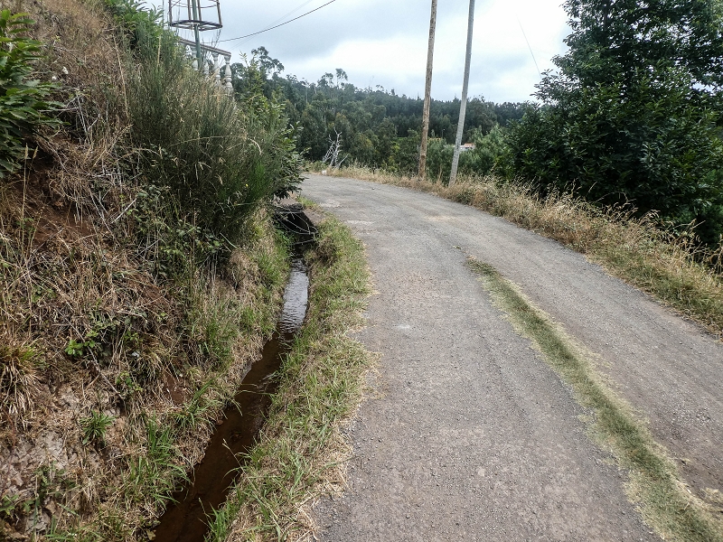 Levada da Serra do Faial von Lamaceiros/Lombo da Raiz zum Pico do Infante — Abschnitt 2 — Foto 17